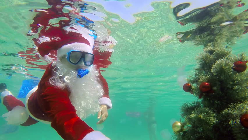 Christmas Celebration In Gold Coast Australia Australia Vacation Australia Funny Gold Coast