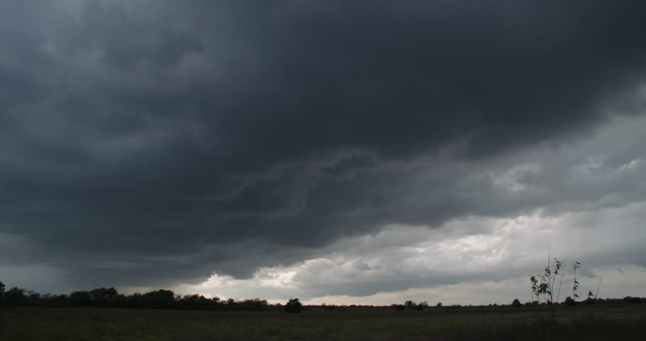 Header of Mexia