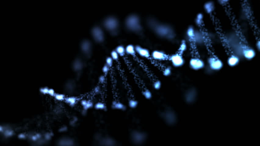 human genome clip art - photo #49