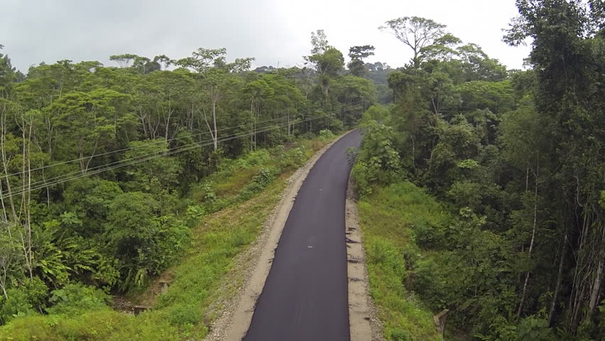 Aerial View Of A Road Running Through Primary Tropical Rainforest In