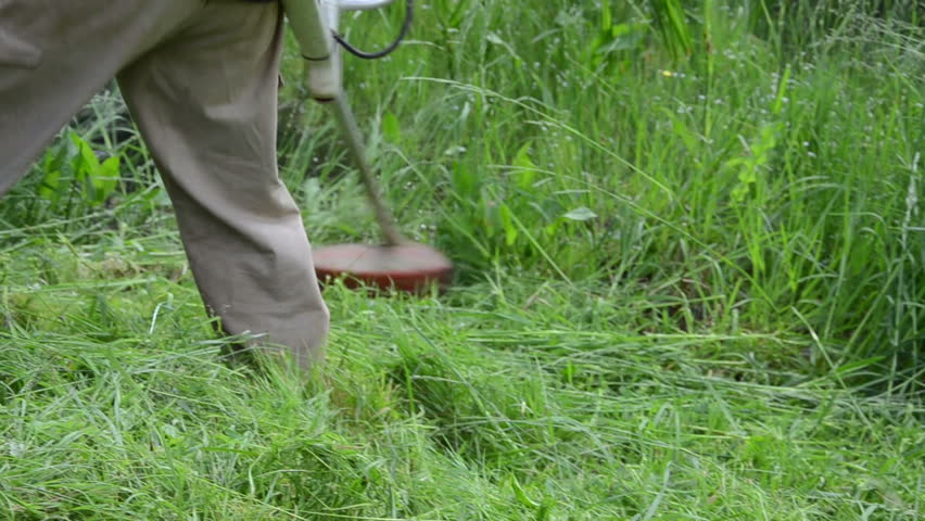 Farmer Worker Man With Trimmer Cut Grass Near Pond And Accidentally 