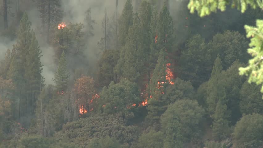 massive-forest-fire-california-firefighters-and-emergency-crews-battle