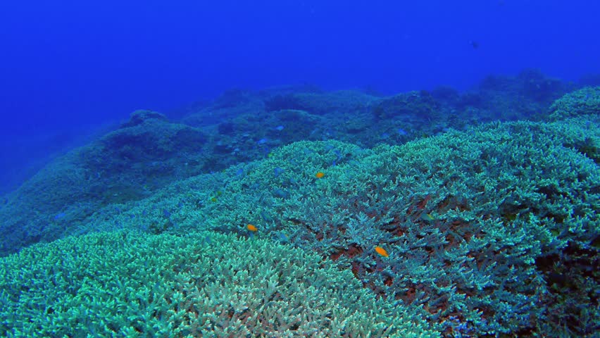 Define underwater stock options