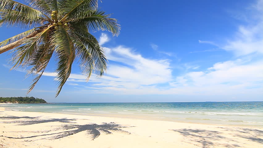 Few Palm Trees Over Tropical Lagoon With White Beach Stock Footage ...