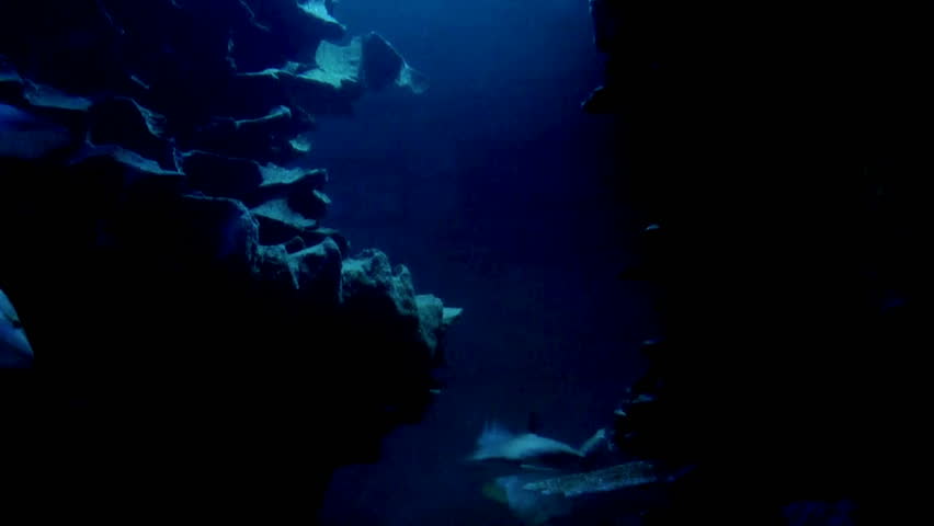 A Rocky Outcrop Deep Sea Stock Footage Video 2620433 - Shutterstock