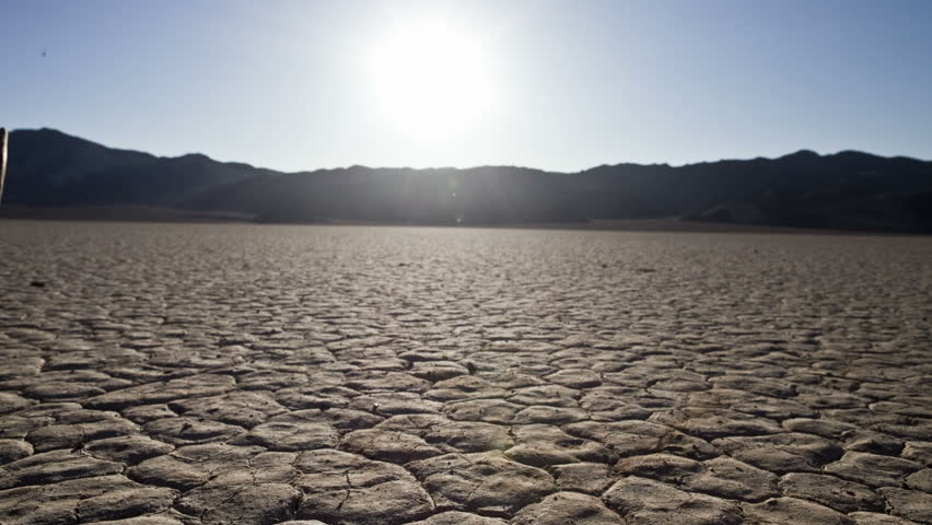 Pan Of Skull On The Desert Floor - Death Valley Stock Footage Video ...