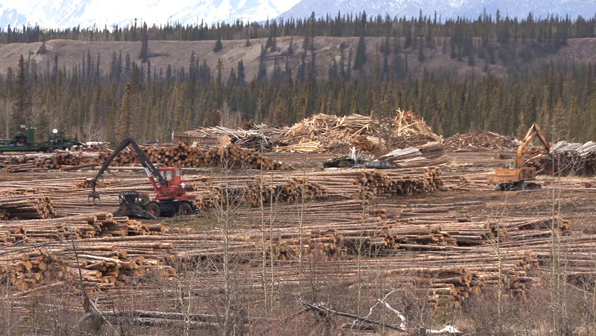 BRITISH COLUMBIA, CANADA - CIRCA 2012: Two Heavy Equipment Machines ...