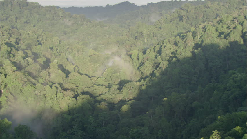 Aerial Shot Of A Tropical Rainforest. Stock Footage Video 5432072 ...