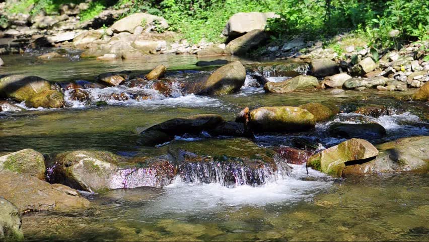 Flow Of Crystal Clear Mountain Stream. Stock Footage Video 5470865 ...