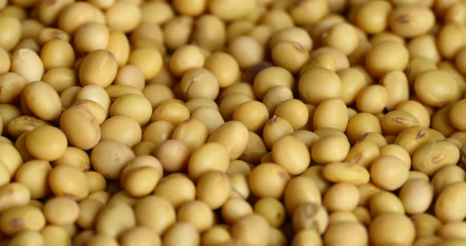 4k Soybean Beans Closeup,seeds Food Raw Material,delicious Dishes Seed ...