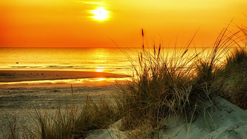 Sunrise Seen From Behind Sea Grass On Sand Dune Stock Footage Video ...