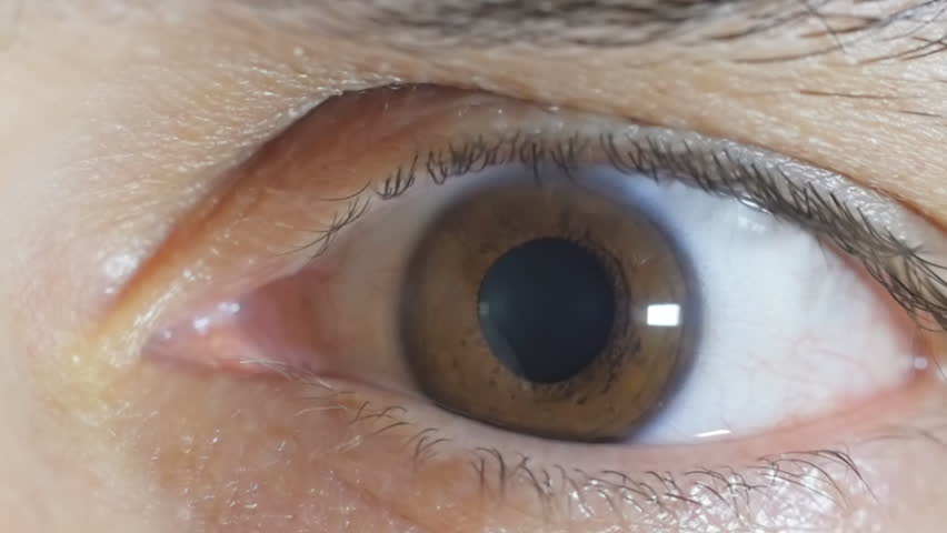 Iris Pupil Contracting Slowmotion,male Brown Eye Stock Footage Video ...